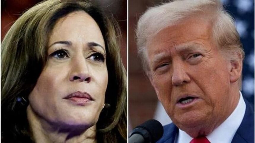 Most voters think US economy is poor, but split on whether Trump or Harris can fix it, suggests new poll